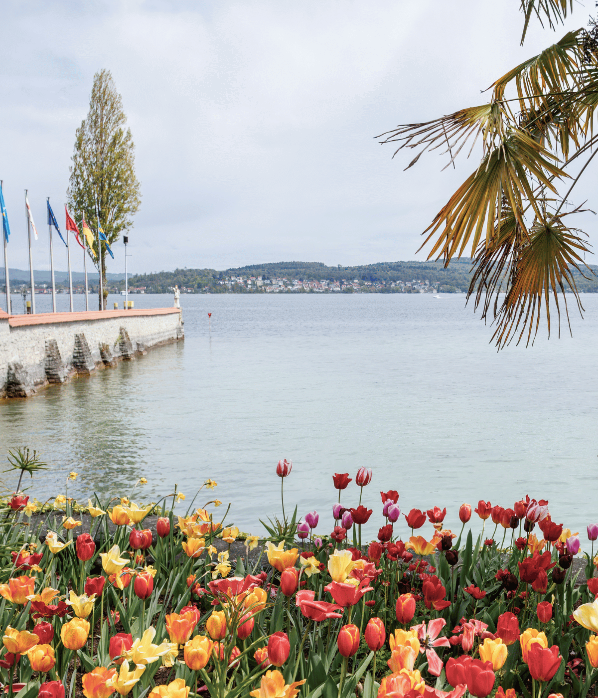 Insel Mainau